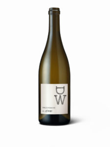 Projektskizze Souvignier gris Weingut Diederik Zürichsee SwissWine